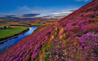 The Enduring Appeal of Scottish Girl Names: A Look at the Past, Present, and Future Trends